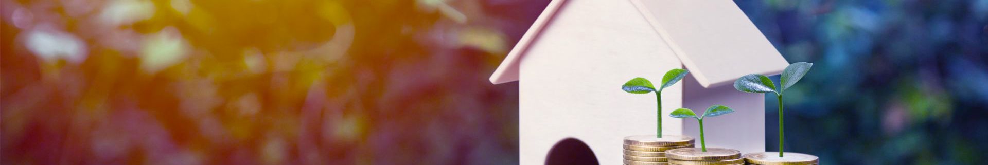 banner financer